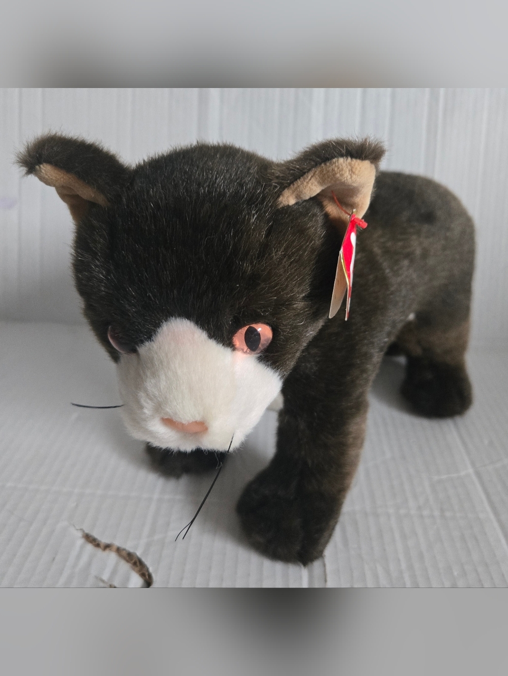 TY Classic - MYSTERY the Cat (12 Inch) Plush Stuffed Animal Toy